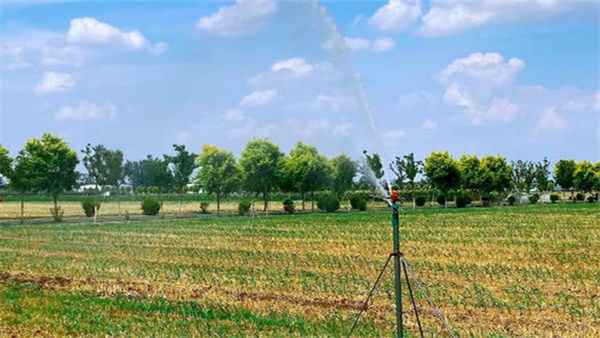 鄉(xiāng)村振興看河南丨周口50多歲的老農(nóng)，靠“它”一人管2000