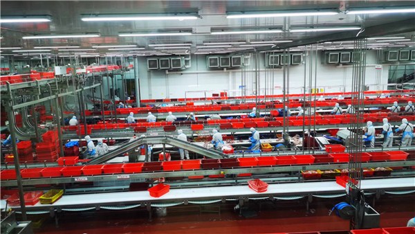 鄉(xiāng)村振興看河南丨既高效又安全，科技創(chuàng)新為雙匯“轉(zhuǎn)型升