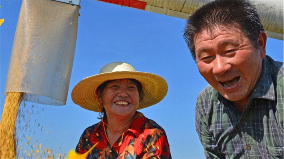 海報(bào) | 豐收節(jié)，曬豐收?。ㄒ唬?/></a>
           <div   id=