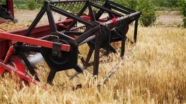 河南麥收新圖景 | 豐收！襄城縣湛北鄉(xiāng)喜開全縣麥收“第