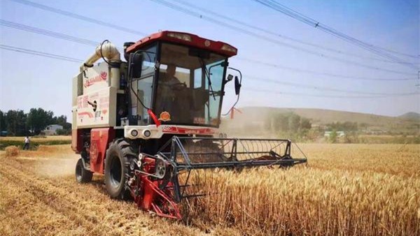 河南麥收新圖景丨“方城糧倉”趙河鎮(zhèn)：小麥喜“開鐮” 