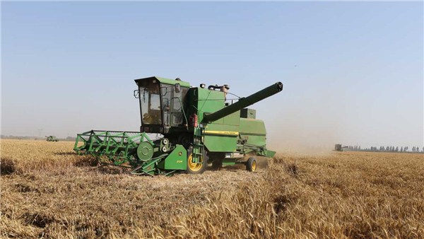  河南麥收新圖景丨周口1100多萬畝小麥，幾天內(nèi)能收完?答