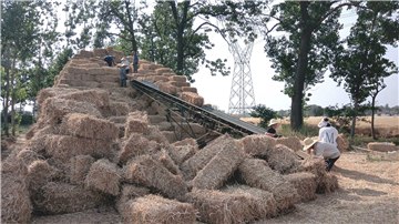  河南麥收新圖景丨郟縣長橋鎮(zhèn)：秸稈循環(huán)利用變廢為“寶