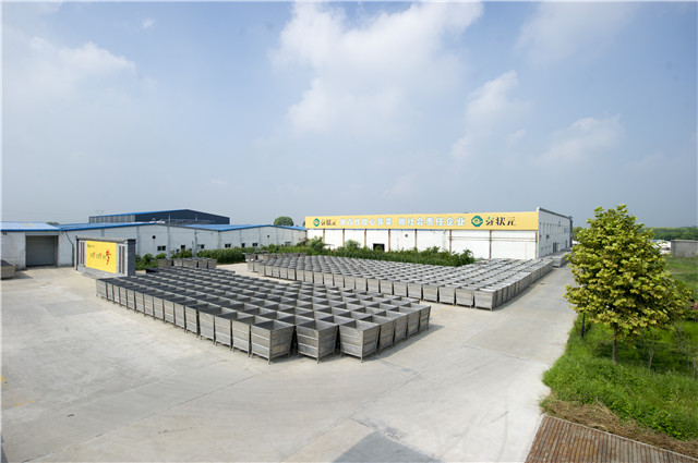 芽狀元天然豆芽李銀州:小豆芽的“中國(guó)夢(mèng)”