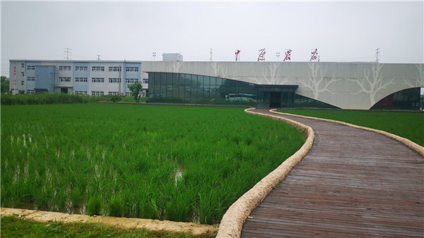 鄉(xiāng)村振興看河南 | 中原農(nóng)谷：彰顯智慧格局，譜寫農(nóng)業(yè)最美